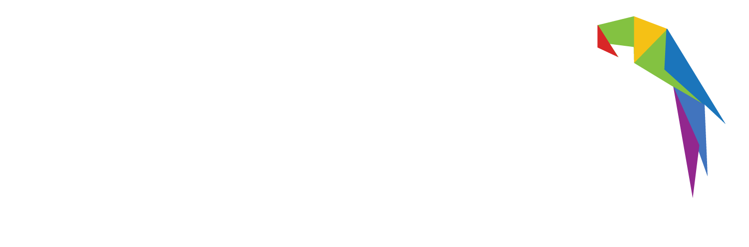 Florida Tours and Activities | Florida Rick