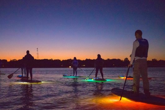 Night Glow Paddle