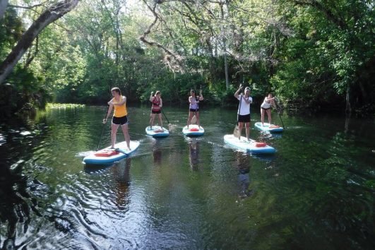 Wekiva River Eco Paddle Adventure