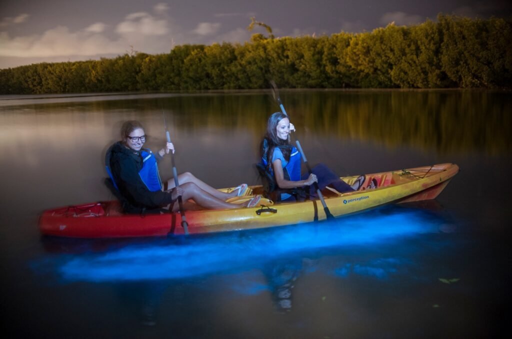 Bioluminescence Kayak Tour - $69 Per Person - Florida Tours And ...