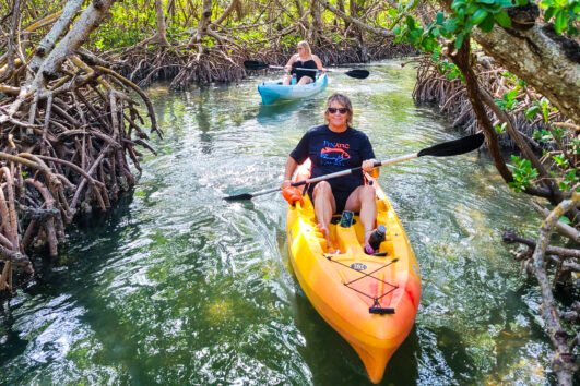 Mangrove Tunnel Kayak Tour