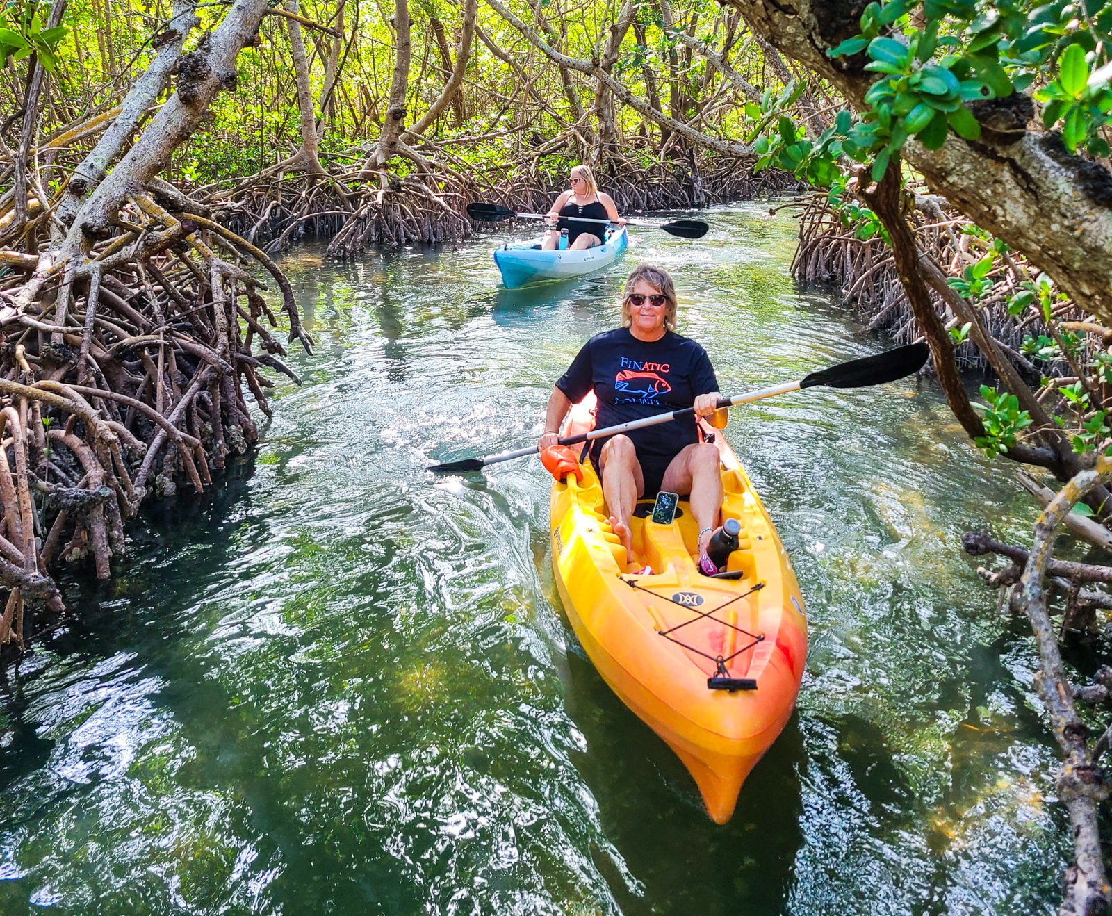 mangrove tours naples fl