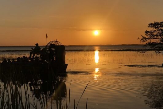 Orlando Airboat Sunset Tour