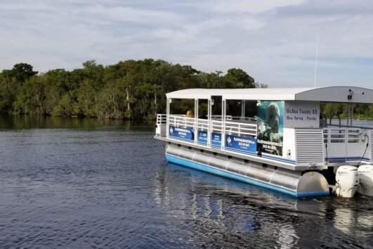 St. Johns River Nature Cruise